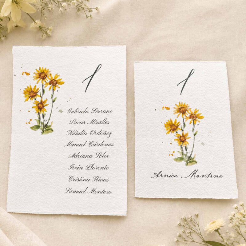 Detalle de tarjeta de seating plan A5 y número de mesa 11 x 16 cm con ilustración de árnica en acuarela sobre papel artesanal.